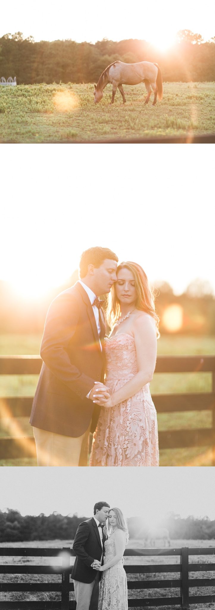 Allison_&_Dixon___Engagement_(180_of_218).jpg